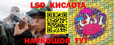 ГАЛЛЮЦИНОГЕННЫЕ ГРИБЫ Новозыбков
