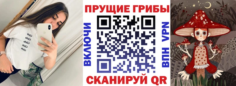 Галлюциногенные грибы MAGIC MUSHROOMS  Раменское 