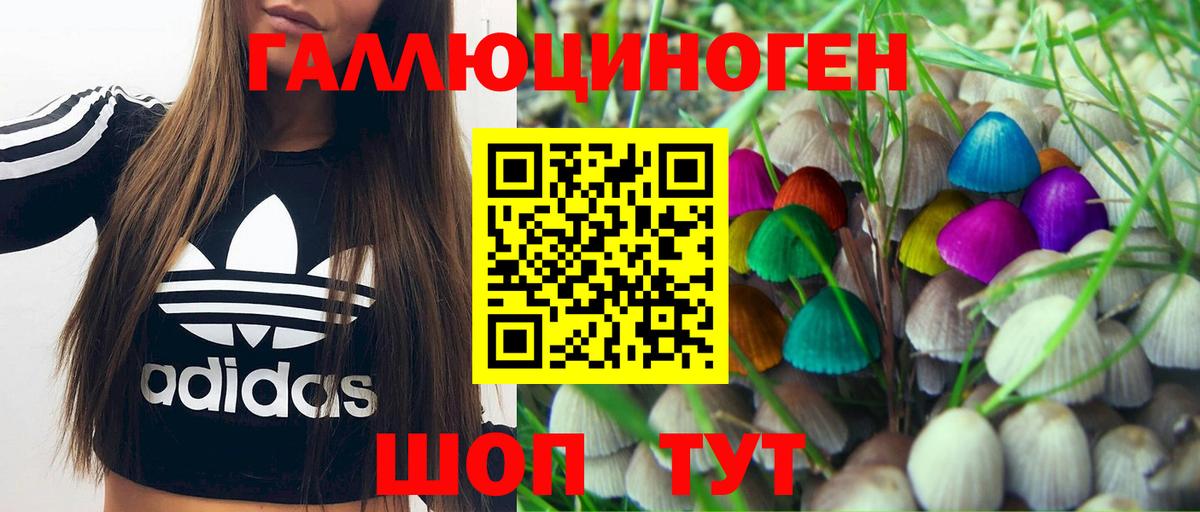 Псилоцибиновые грибы Psilocybine cubensis Раменское