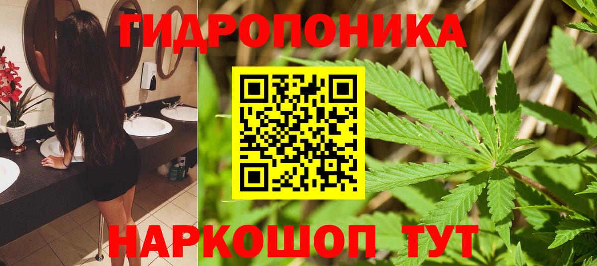 Конопля MAZAR Раменское